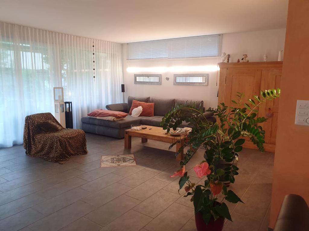 Casa Nadja, Naehe Skigebiet Flims-Lax Ems ภายนอก รูปภาพ